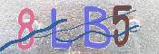 CAPTCHA (Şahıs Denetim Kodu) Resmi