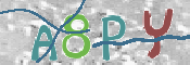 CAPTCHA (Şahıs Denetim Kodu) Resmi