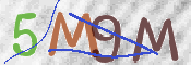 CAPTCHA (Şahıs Denetim Kodu) Resmi