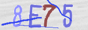 CAPTCHA (Şahıs Denetim Kodu) Resmi