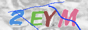 CAPTCHA (Şahıs Denetim Kodu) Resmi