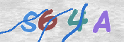 CAPTCHA (Şahıs Denetim Kodu) Resmi
