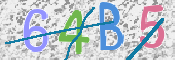 CAPTCHA (Şahıs Denetim Kodu) Resmi
