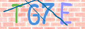 CAPTCHA (Şahıs Denetim Kodu) Resmi