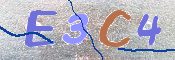 CAPTCHA (Şahıs Denetim Kodu) Resmi