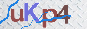 CAPTCHA (Şahıs Denetim Kodu) Resmi
