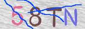 CAPTCHA (Şahıs Denetim Kodu) Resmi