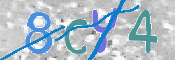 CAPTCHA (Şahıs Denetim Kodu) Resmi