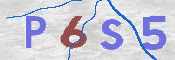 CAPTCHA (Şahıs Denetim Kodu) Resmi