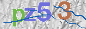 CAPTCHA (Şahıs Denetim Kodu) Resmi