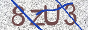 CAPTCHA (Şahıs Denetim Kodu) Resmi