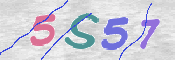 CAPTCHA (Şahıs Denetim Kodu) Resmi