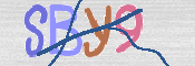 CAPTCHA (Şahıs Denetim Kodu) Resmi