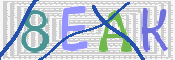 CAPTCHA (Şahıs Denetim Kodu) Resmi