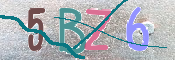 CAPTCHA (Şahıs Denetim Kodu) Resmi