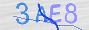 CAPTCHA (Şahıs Denetim Kodu) Resmi