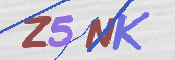CAPTCHA (Şahıs Denetim Kodu) Resmi