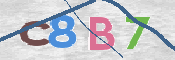 CAPTCHA (Şahıs Denetim Kodu) Resmi