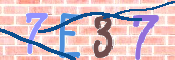 CAPTCHA (Şahıs Denetim Kodu) Resmi