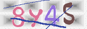 CAPTCHA (Şahıs Denetim Kodu) Resmi