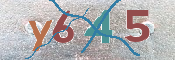 CAPTCHA (Şahıs Denetim Kodu) Resmi