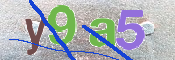 CAPTCHA (Şahıs Denetim Kodu) Resmi
