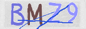 CAPTCHA (Şahıs Denetim Kodu) Resmi