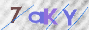 CAPTCHA (Şahıs Denetim Kodu) Resmi