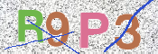CAPTCHA (Şahıs Denetim Kodu) Resmi