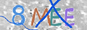 CAPTCHA (Şahıs Denetim Kodu) Resmi