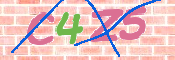CAPTCHA (Şahıs Denetim Kodu) Resmi