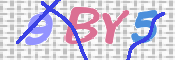 CAPTCHA (Şahıs Denetim Kodu) Resmi