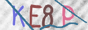CAPTCHA (Şahıs Denetim Kodu) Resmi