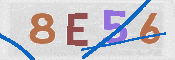 CAPTCHA (Şahıs Denetim Kodu) Resmi