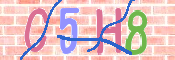 CAPTCHA (Şahıs Denetim Kodu) Resmi
