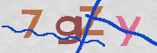 CAPTCHA (Şahıs Denetim Kodu) Resmi