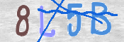 CAPTCHA (Şahıs Denetim Kodu) Resmi