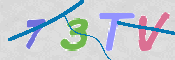 CAPTCHA (Şahıs Denetim Kodu) Resmi