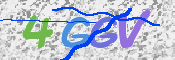 CAPTCHA (Şahıs Denetim Kodu) Resmi
