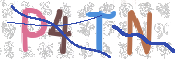 CAPTCHA (Şahıs Denetim Kodu) Resmi
