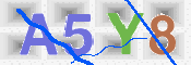 CAPTCHA (Şahıs Denetim Kodu) Resmi