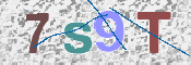 CAPTCHA (Şahıs Denetim Kodu) Resmi