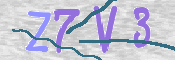 CAPTCHA (Şahıs Denetim Kodu) Resmi