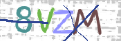 CAPTCHA (Şahıs Denetim Kodu) Resmi