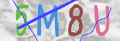 CAPTCHA (Şahıs Denetim Kodu) Resmi