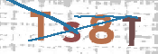 CAPTCHA (Şahıs Denetim Kodu) Resmi