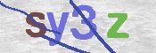 CAPTCHA (Şahıs Denetim Kodu) Resmi