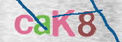 CAPTCHA (Şahıs Denetim Kodu) Resmi
