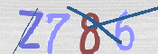 CAPTCHA (Şahıs Denetim Kodu) Resmi