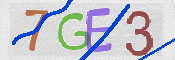 CAPTCHA (Şahıs Denetim Kodu) Resmi